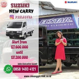 promo lebaran suzuki mobil pick up carry