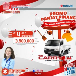 suzuki pick up