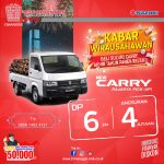 suzuki pick up
