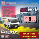 suzuki pick up